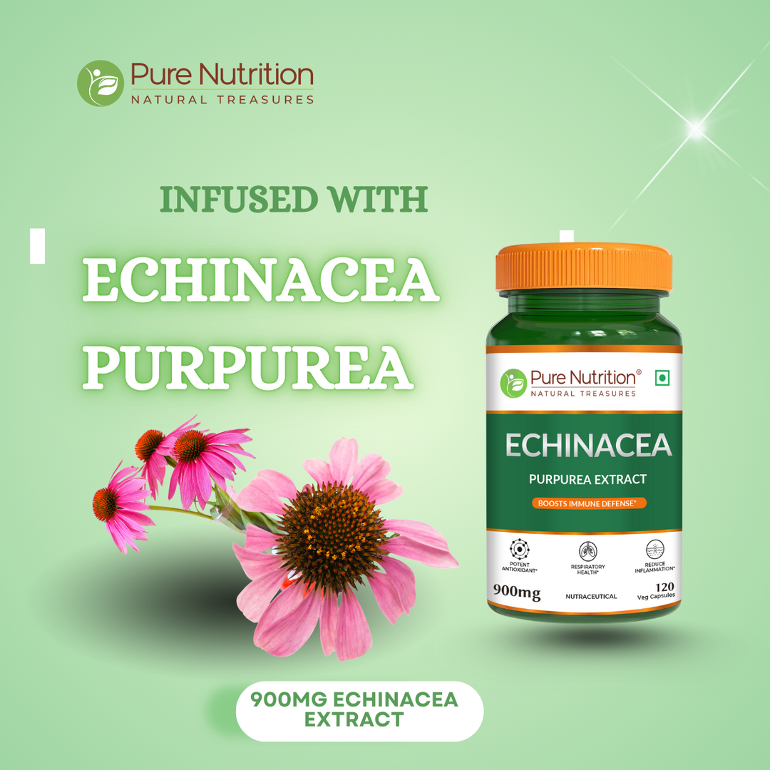 Echinacea Extract Capsules  120 Count | Immune Boost & Antioxidant Support