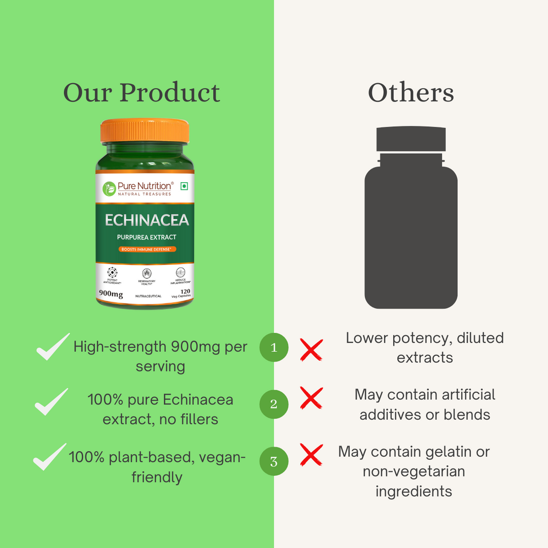 Echinacea Extract Capsules  120 Count | Immune Boost & Antioxidant Support