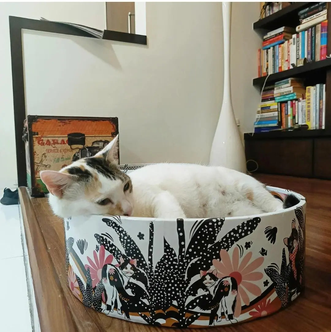 The Bella Scratch Bed - Groovy Cats