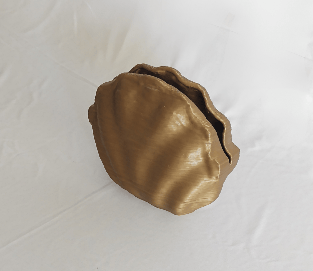 EcoDecor Centennial Mollusck - Suspire