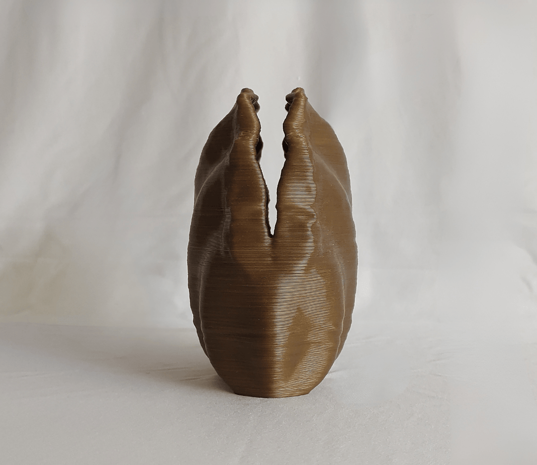 EcoDecor Centennial Mollusck - Suspire