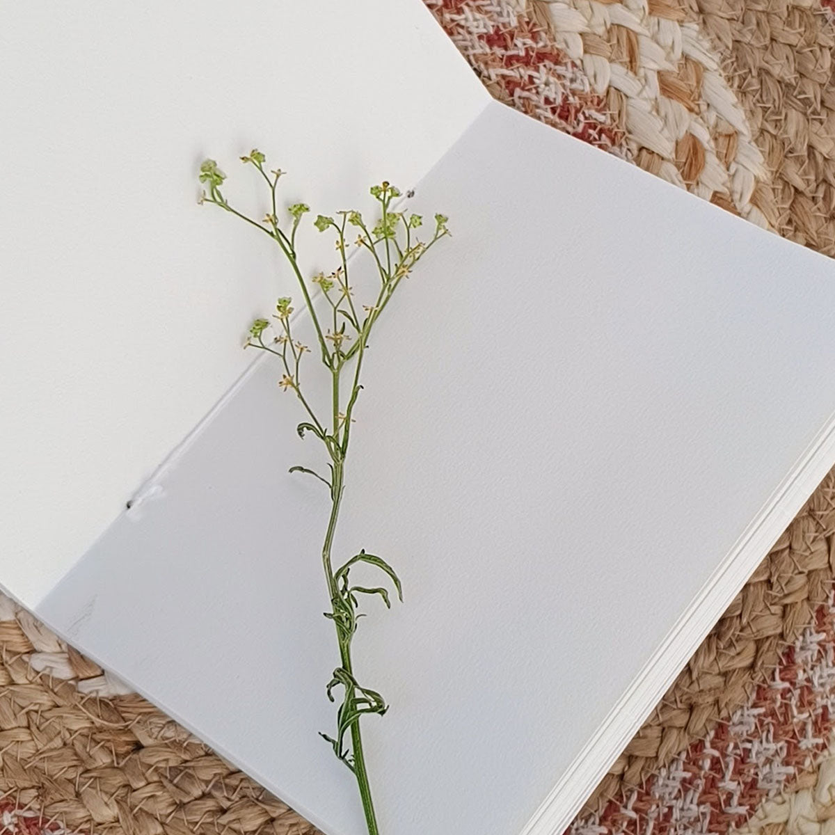 Eco-printed handmade journal - eucalyptus leaf print