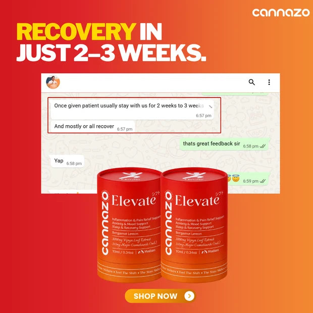 CannazoIndia Elevate- Recovery CBD+THC Oil