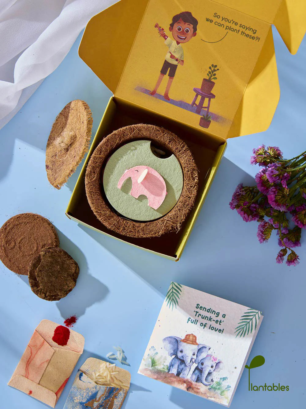 Plantables Ellie Belly Rakhi Planting Kit