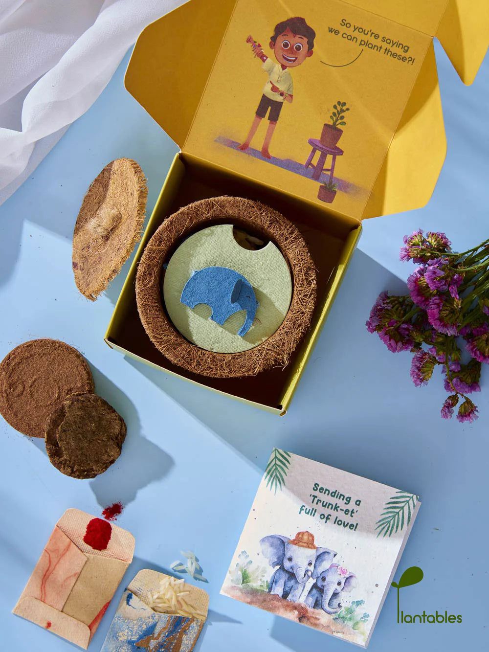 Plantables Ellie Belly Rakhi Planting Kit