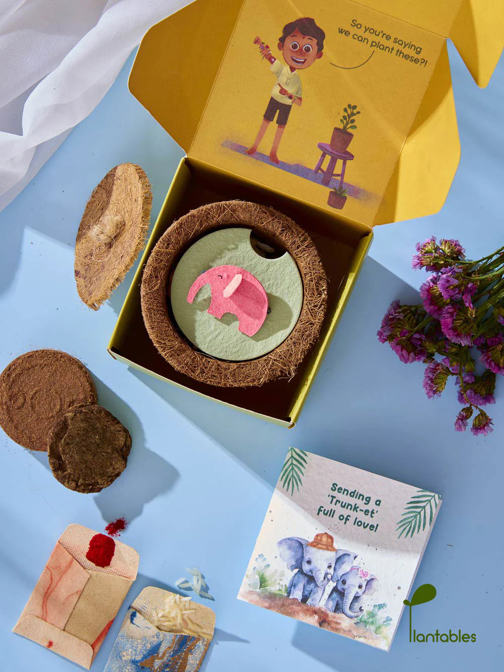 Plantables Ellie Belly Rakhi Planting Kit