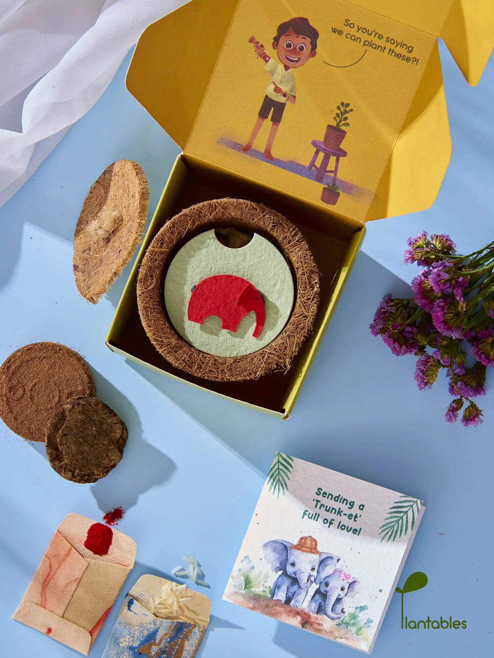 Plantables Ellie Belly Rakhi Planting Kit