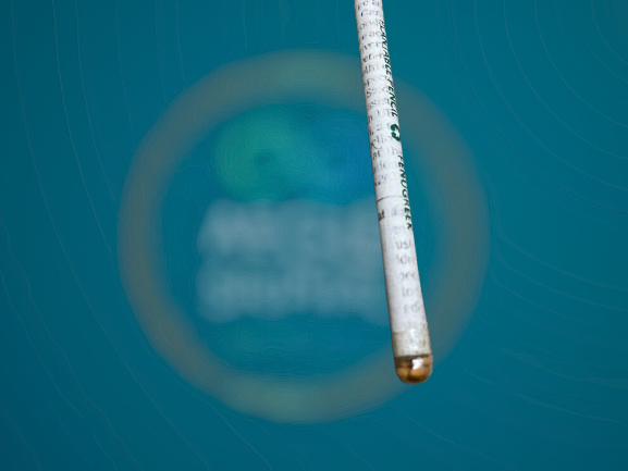 Aegle Sriphal Plantable Pencil