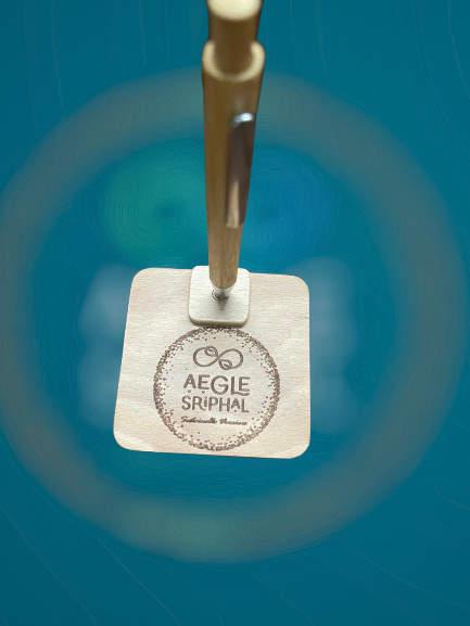 Aegle Sriphal Magnetic revolving bamboo pen stand with bamboo pen