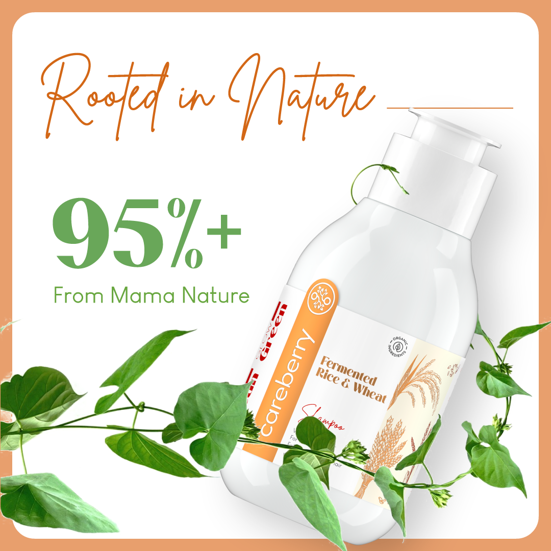 Careberry Fermented Rice & Wheat Volumizing Shampoo | For Thin, Dry Hair | Organic | Sulphate-Free, Vegan | Adds Shine & Strength