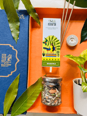 Festive Gift Box I Self Watering Plant I Dry Fruit I Bambooless Incense I Set of 4