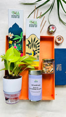 Festive Gift Box I Self Watering Plant I Tea I Dry Fruit I Bambooless Incense I Set of 5