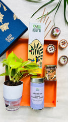 Festive Gift Box I Self Watering Plant I Tea I Dry Fruit I Bambooless Incense I Set of 5
