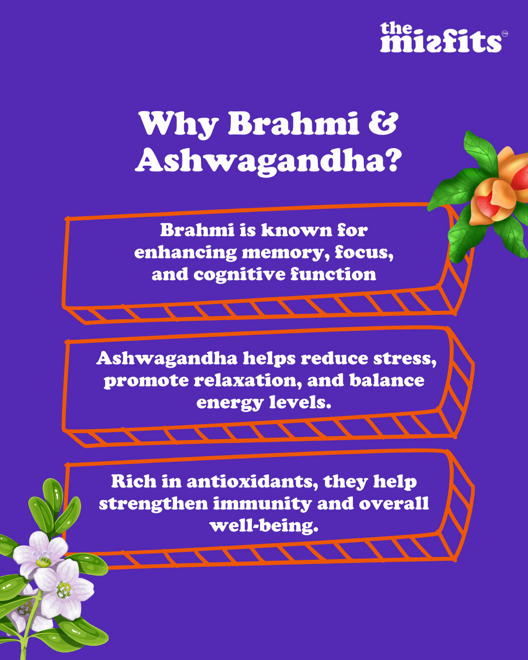 Double Choco Bites with Brahmi & Ashwagandha - Pack of 6