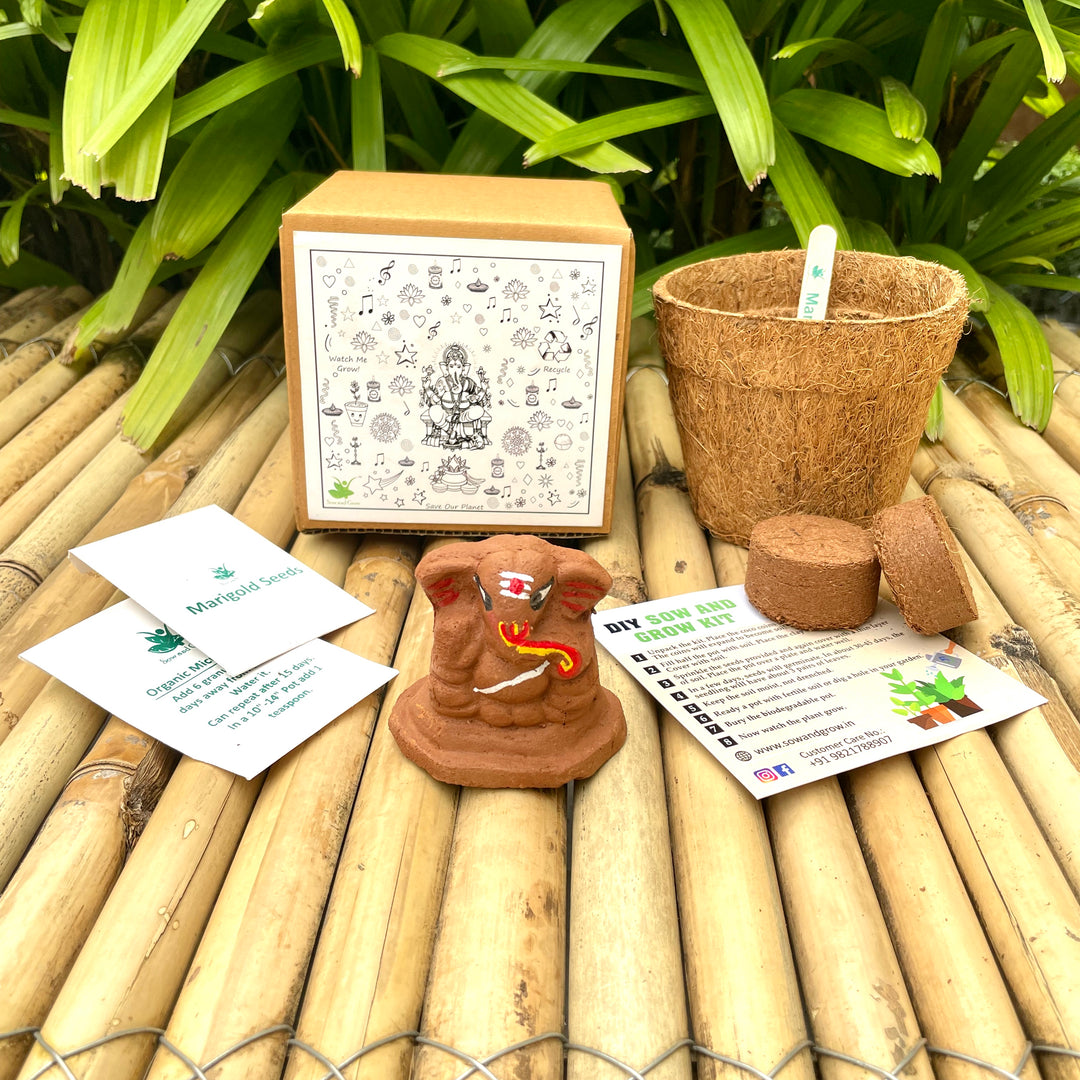 Sow and Grow Plantable Seed Ganesha 6.5 cm with Marigold Seeds | Grow Kit with Pot and Soil | Eco Friendly Idol for Ganesh Chaturthi, Diwali