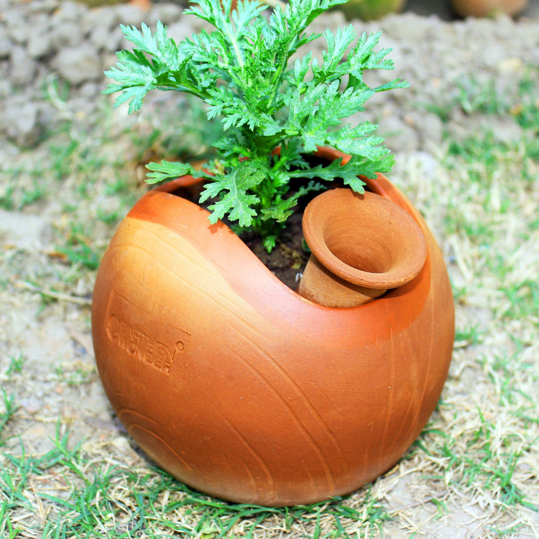 GLO (L) Terracotta Planter with Deep Root Watering System - Suspire