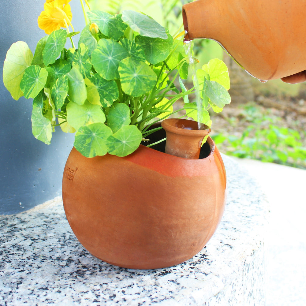 GLO (XL)Terracotta Planter with Deep Root Watering System