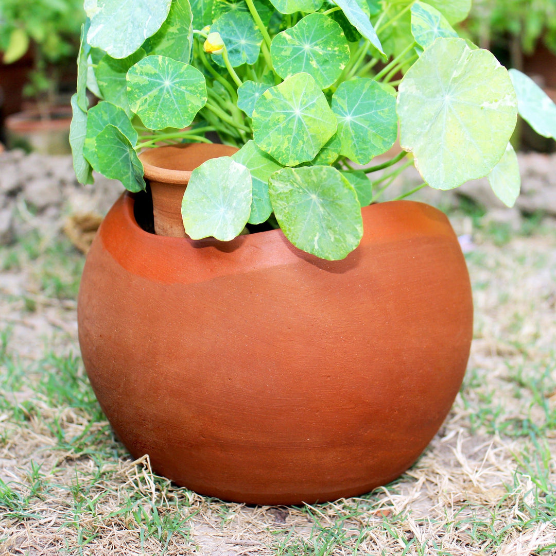GLO (XL)Terracotta Planter with Deep Root Watering System - Suspire