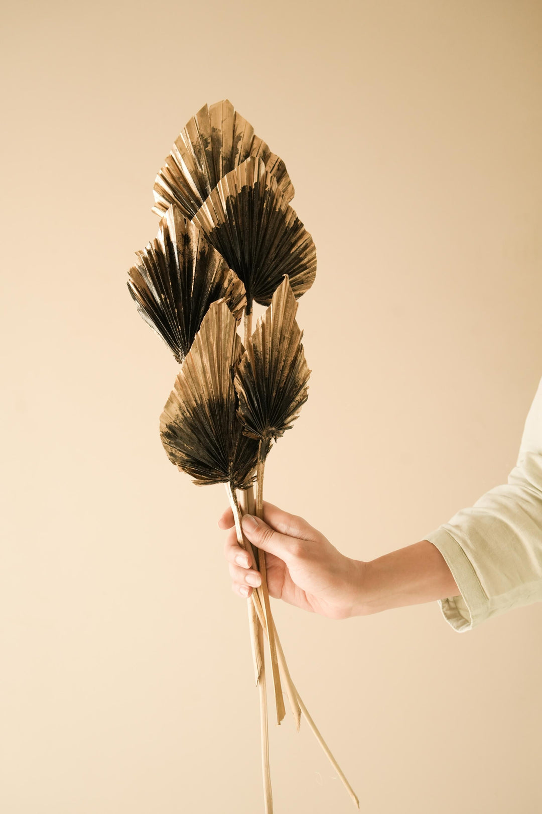Golden Black Palm Leaves Dried Decor | Set of 5 Palm Spears