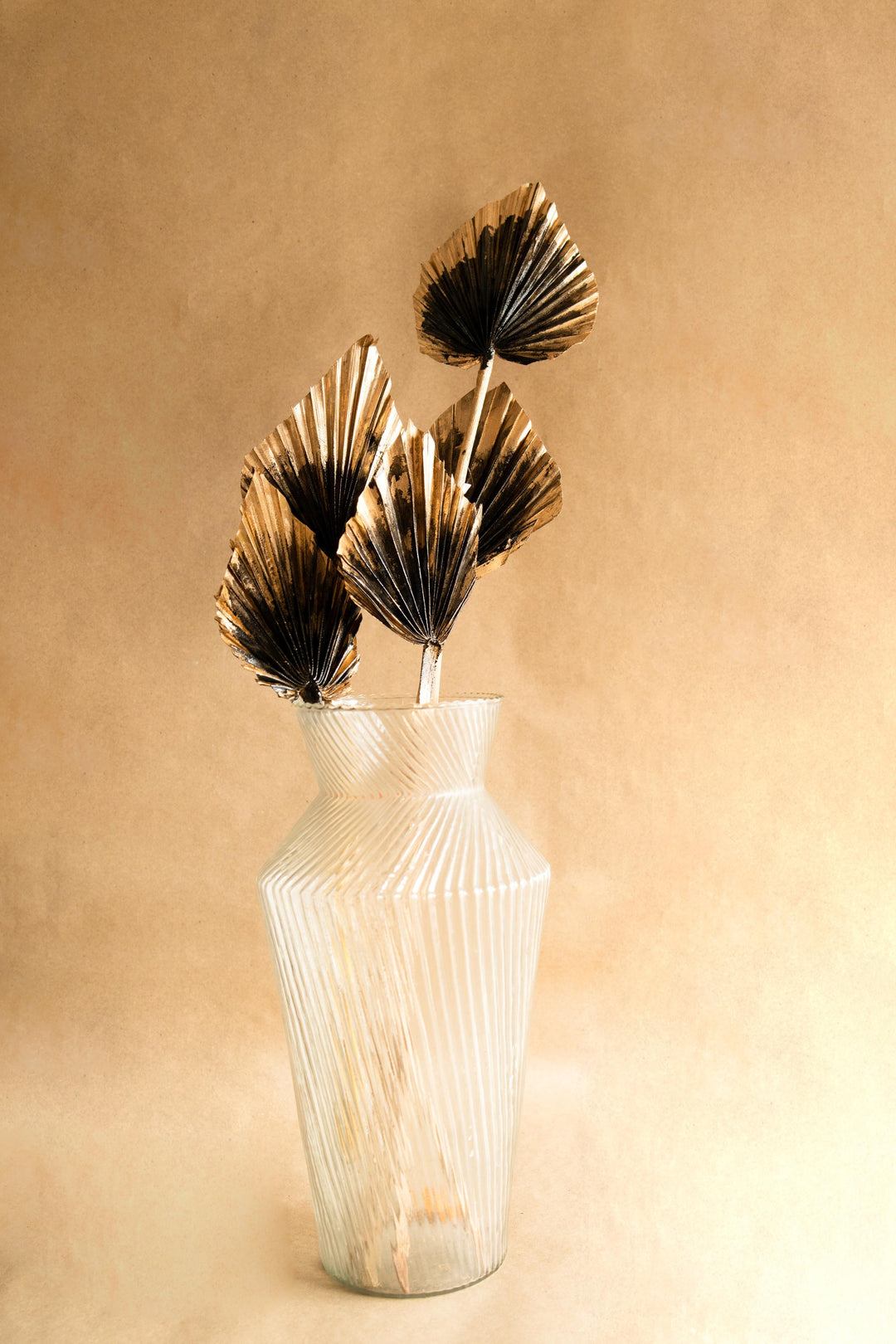 Golden Black Palm Leaves Dried Decor | Set of 5 Palm Spears