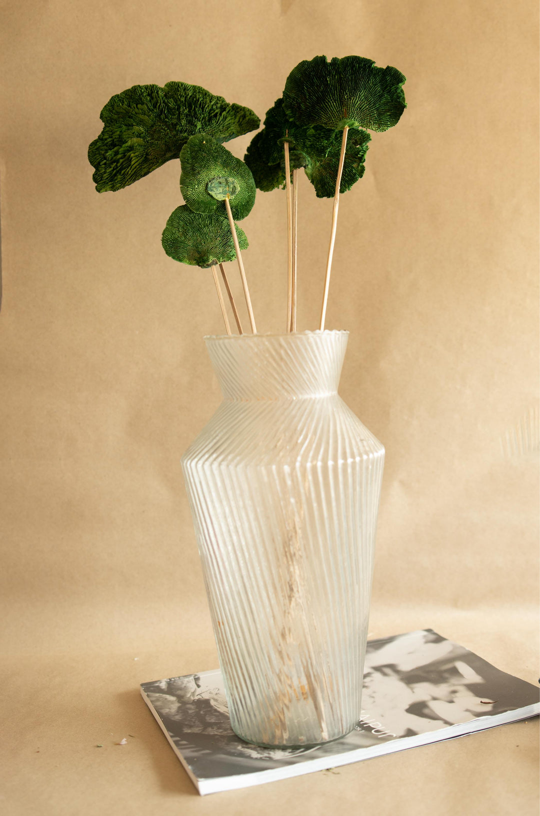 Green Sponge Mushroom | Dried Flower Décor