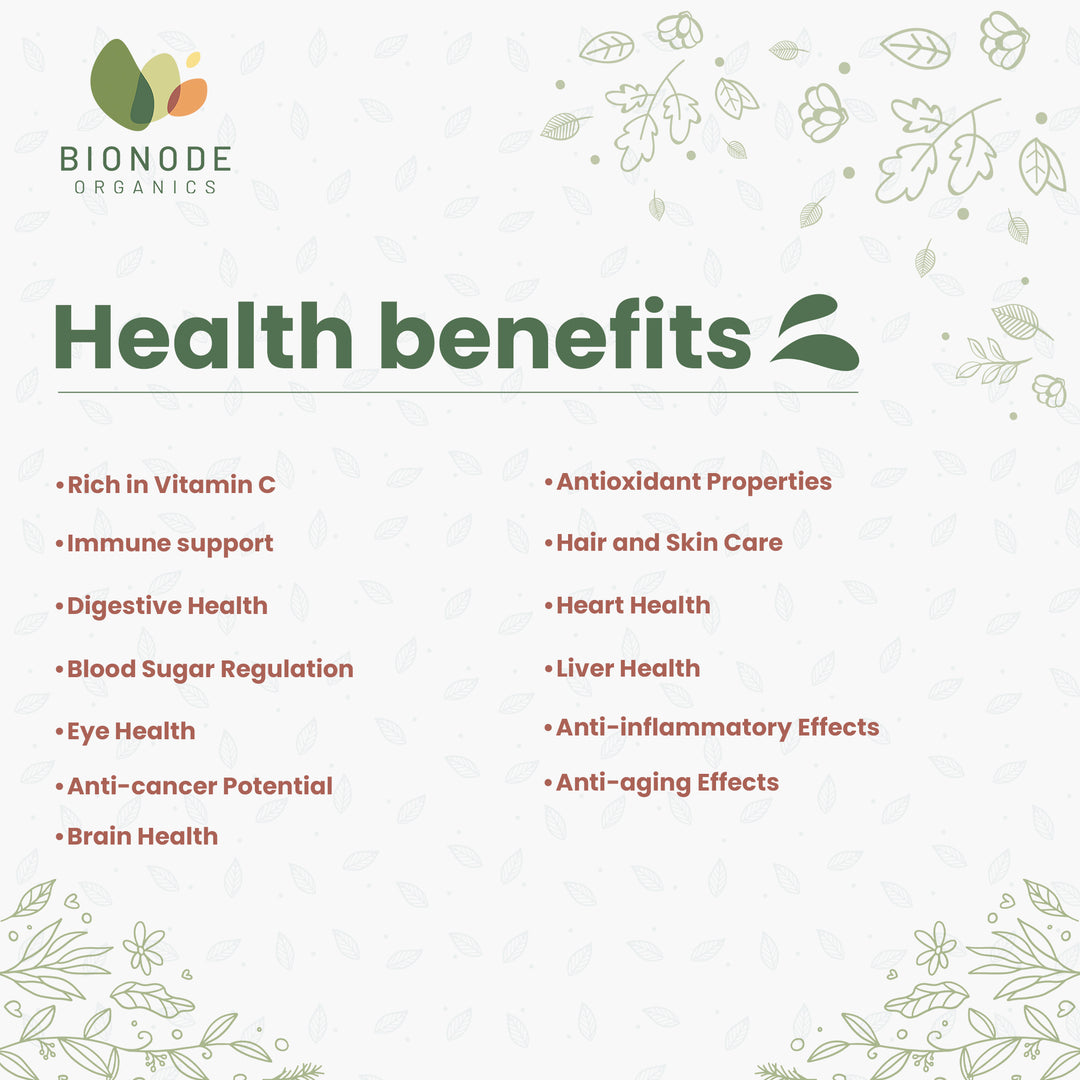 Bionode Organics Certified Organic Amla Powder - Rich in Vitamin C | No Chemicals & No Preservatives | Pack of 2