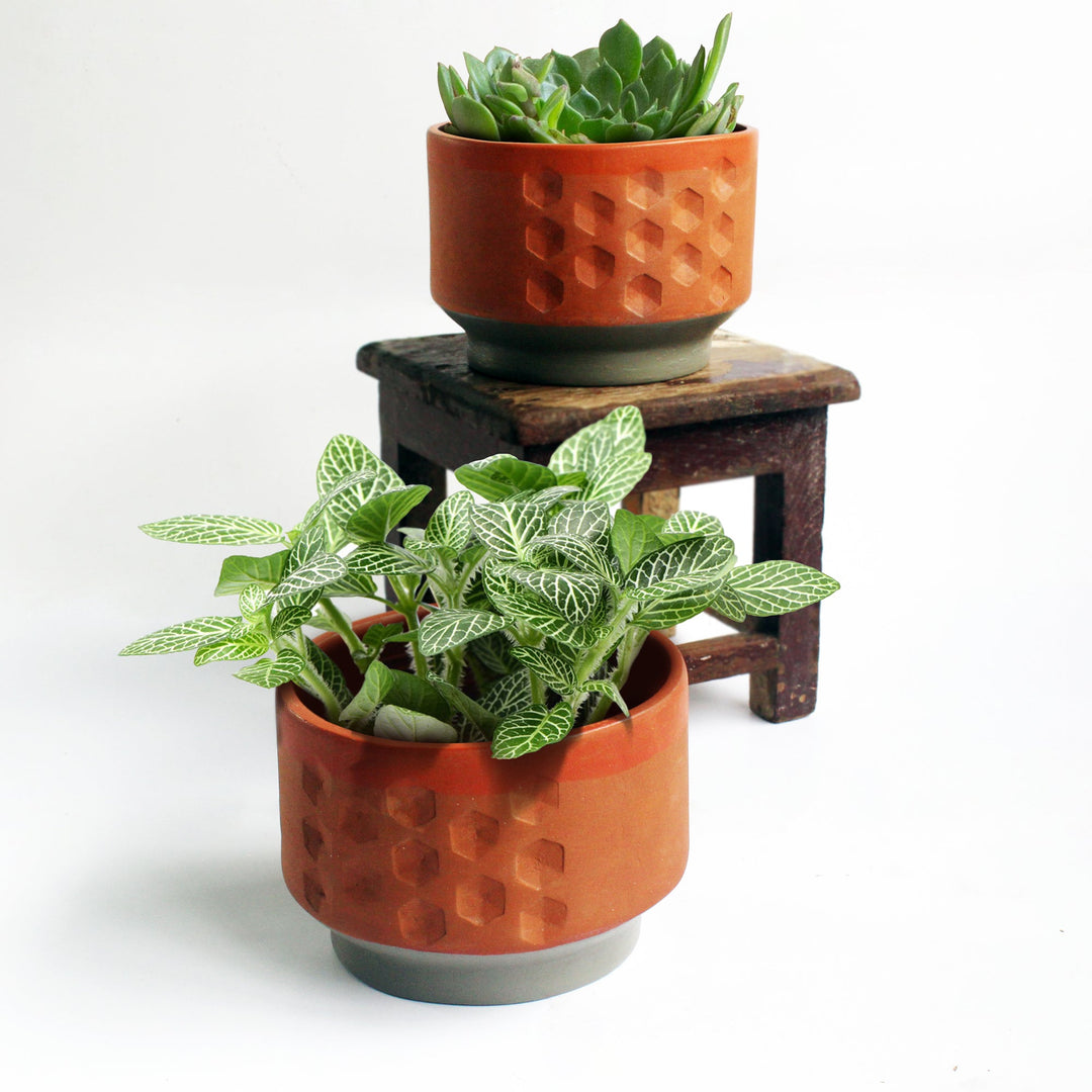 HEXA DECO Planter - Suspire