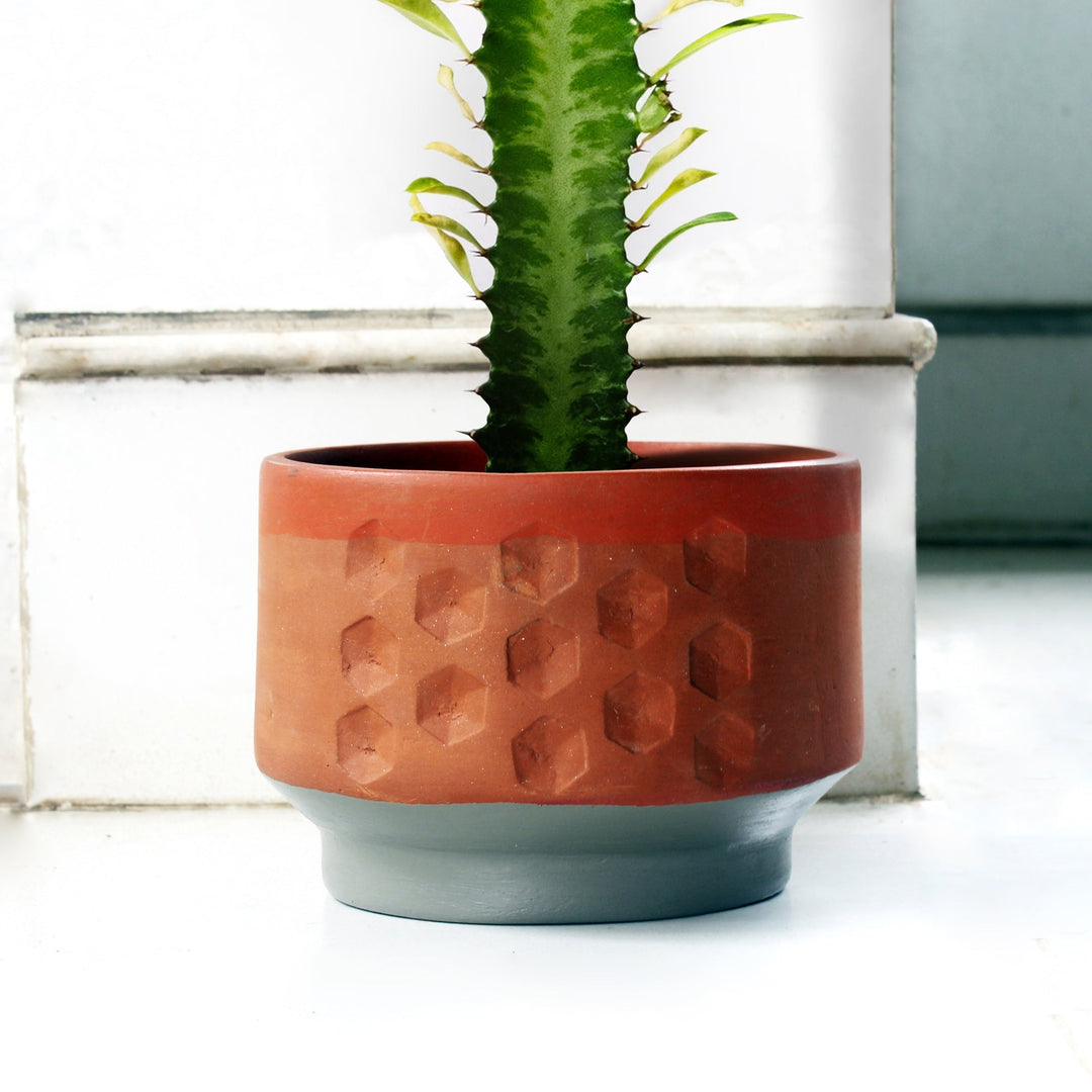 HEXA DECO Planter - Suspire