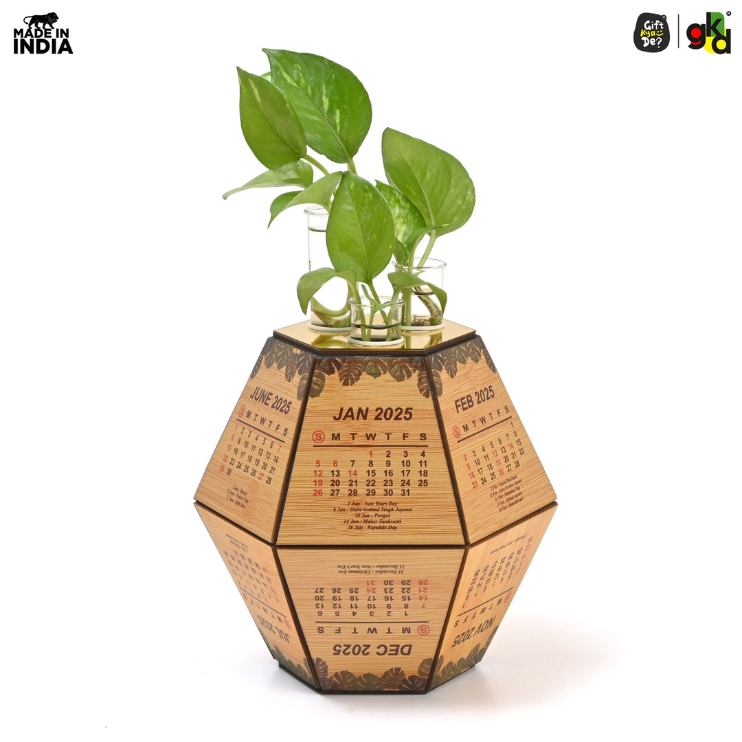 Gift Kya De Test Tube Planter with Wooden Holder / Calendar 2025, Table Top Decor Planters | Hexagon Design | Corporate Gifts