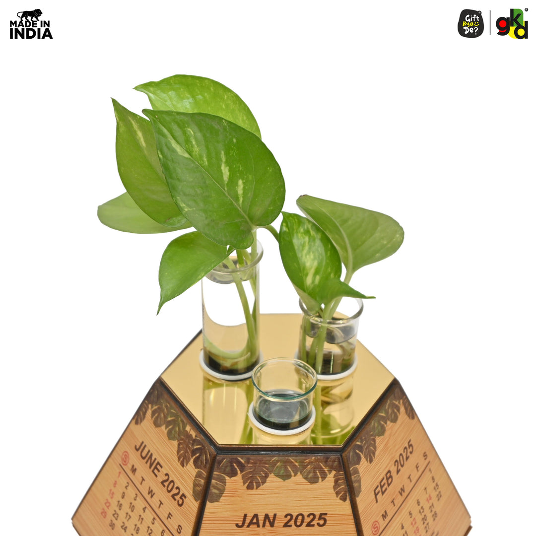 Gift Kya De Test Tube Planter with Wooden Holder / Calendar 2025, Table Top Decor Planters | Hexagon Design | Corporate Gifts