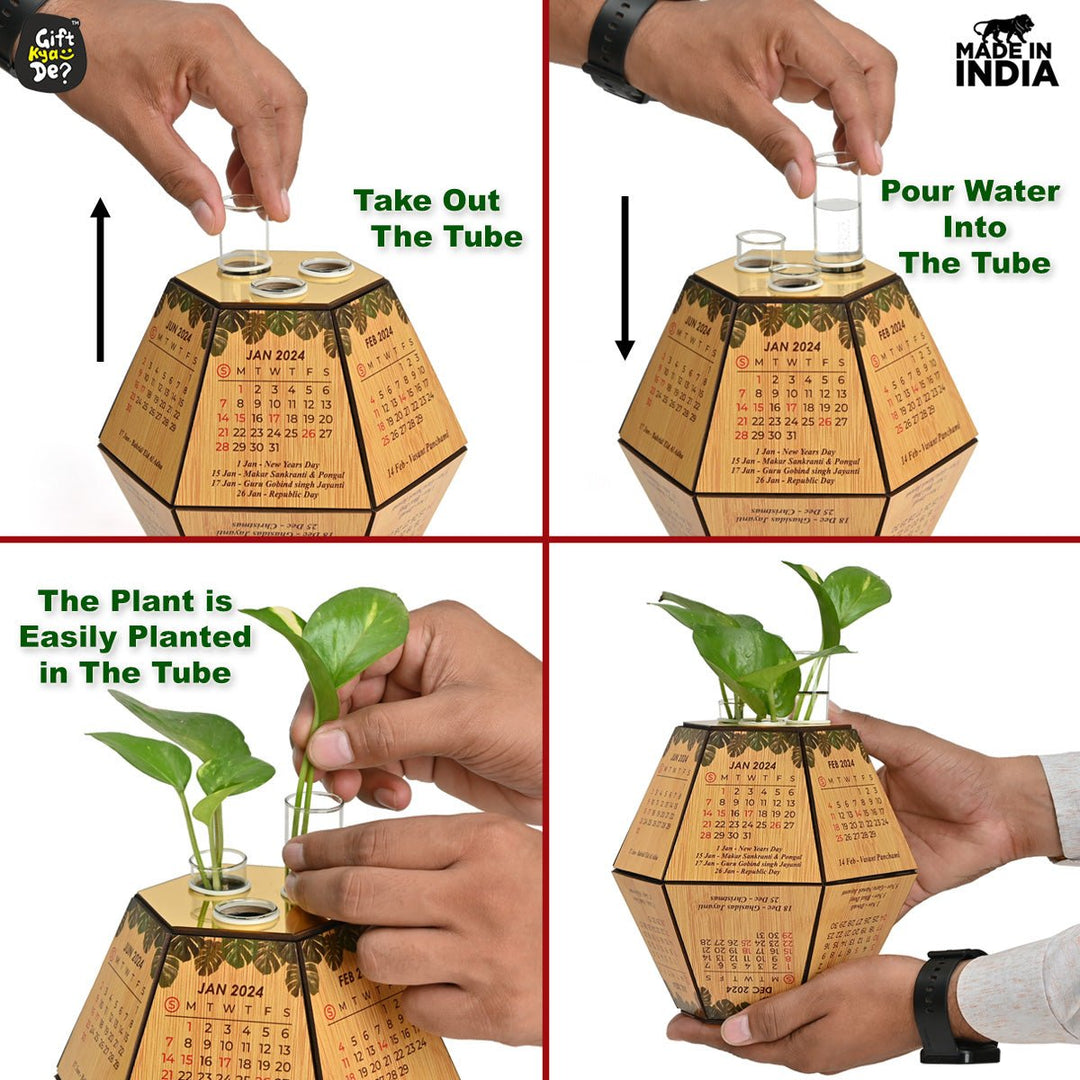 Gift Kya De Test Tube Planter with Wooden Holder / Calendar 2025, Table Top Decor Planters | Hexagon Design | Corporate Gifts