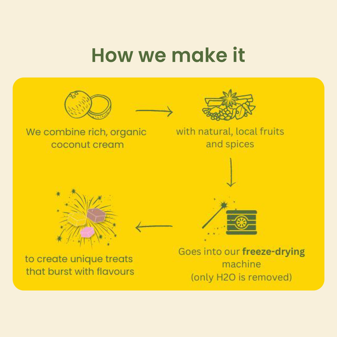 Oh My Vegan Mango Coco Melts – Healthy Plant Based Freeze-Dried Treats - 40 Grams