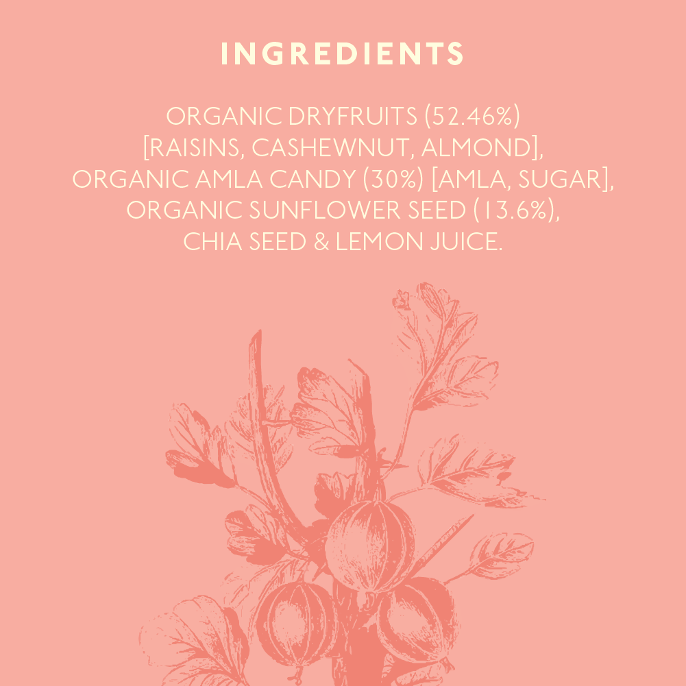 Nourish Organics Amla Cashews Bar, 30g (Pack of 6)