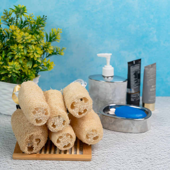 Organic B Natural Loofah, Body Scrubber/Sponge | 6 Pcs