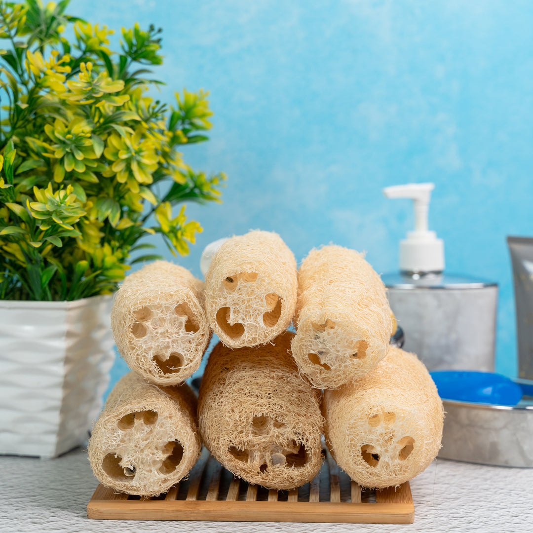 Organic B Natural Loofah, Body Scrubber/Sponge | 6 Pcs