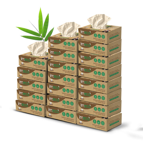 IMECO Bamboo Facial Tissue | Soft & Highly Absorbent | 2-Ply | 100 Pulls