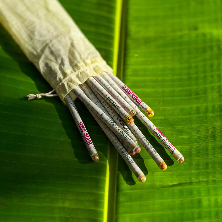 Scrapshala Plantable Pencil Pack | Set of 10 | 4 plantable seeds | Upcycled