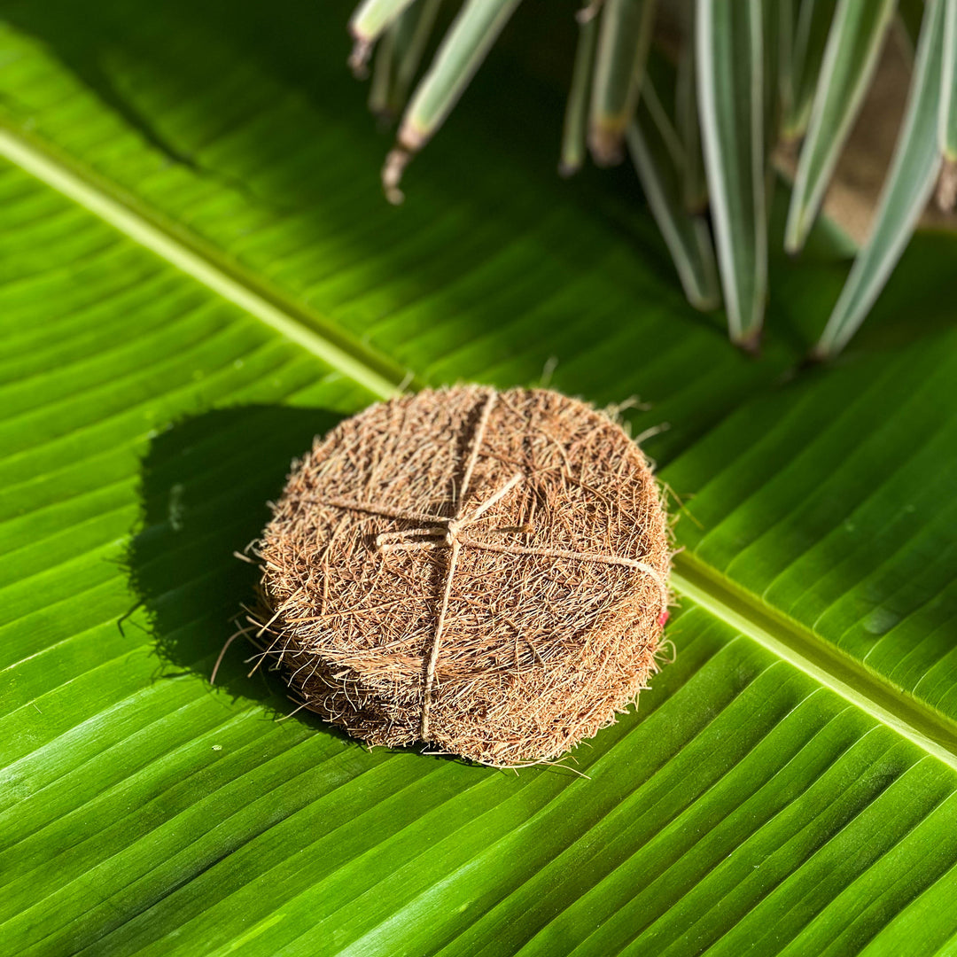 Scrapshala Natural Coir Dish Scrubber | Pack of 5 pads | Sturdy | Biodegradable | Plastic-free