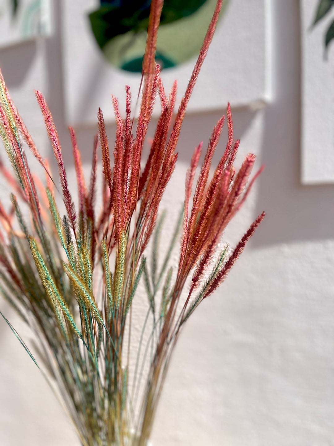 Ishmades real dried mountain grass sticks
