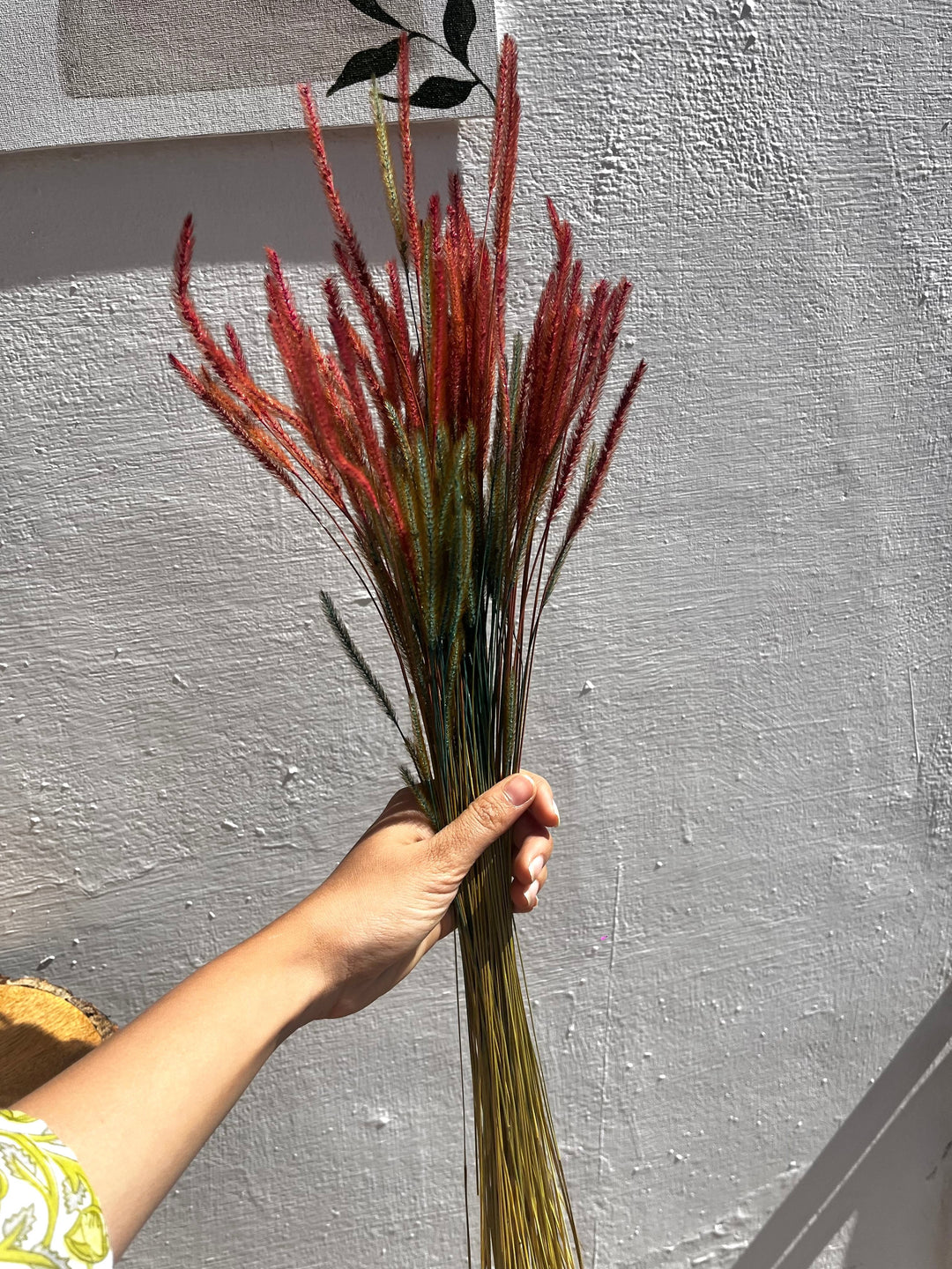 Ishmades real dried mountain grass sticks