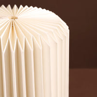 Noori Hanging Lamp - 1 pc