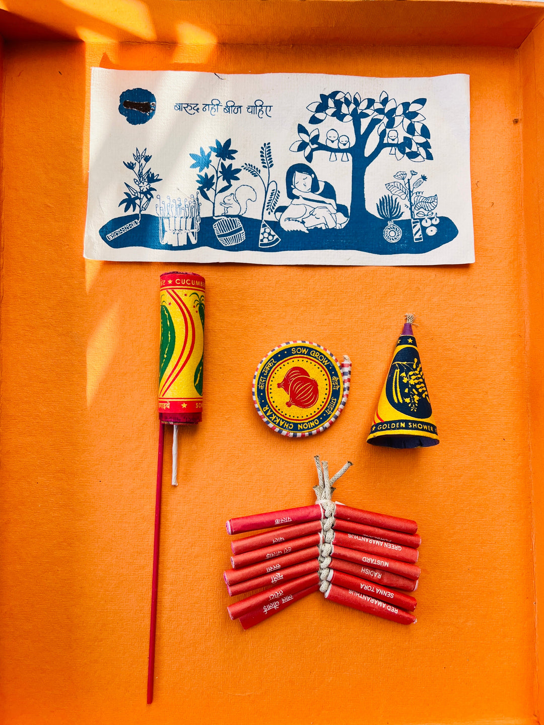 Shuddh Natural Plantable crackers | seed crackers | beej patakha | set of 4 I plantable seed box