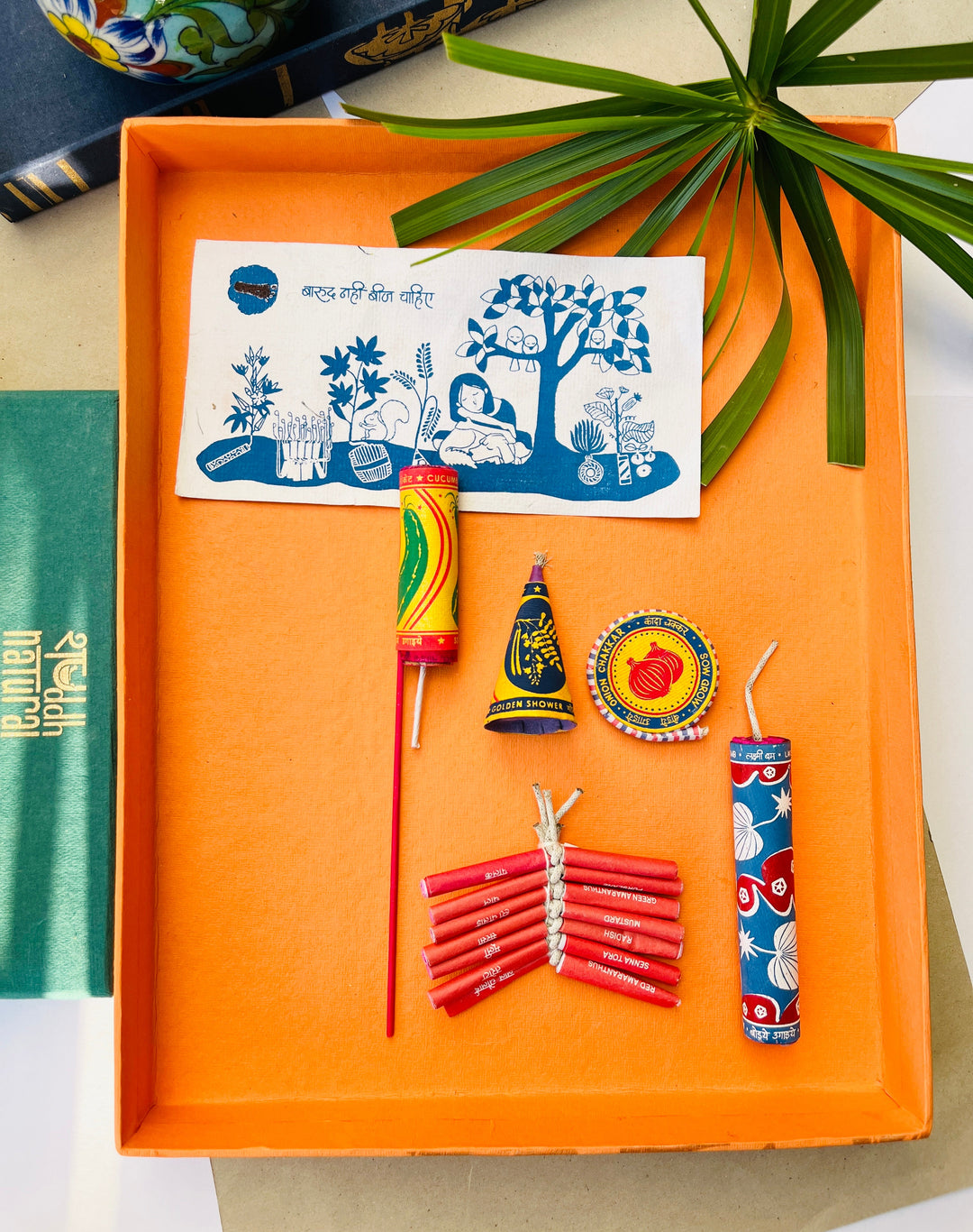 Shuddh Natural Plantable crackers | seed crackers | beej patakha | set of 5 I plantable seed box