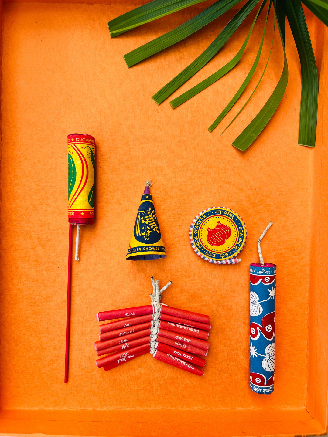 Shuddh Natural Plantable crackers | seed crackers | beej patakha | set of 5 I plantable seed box