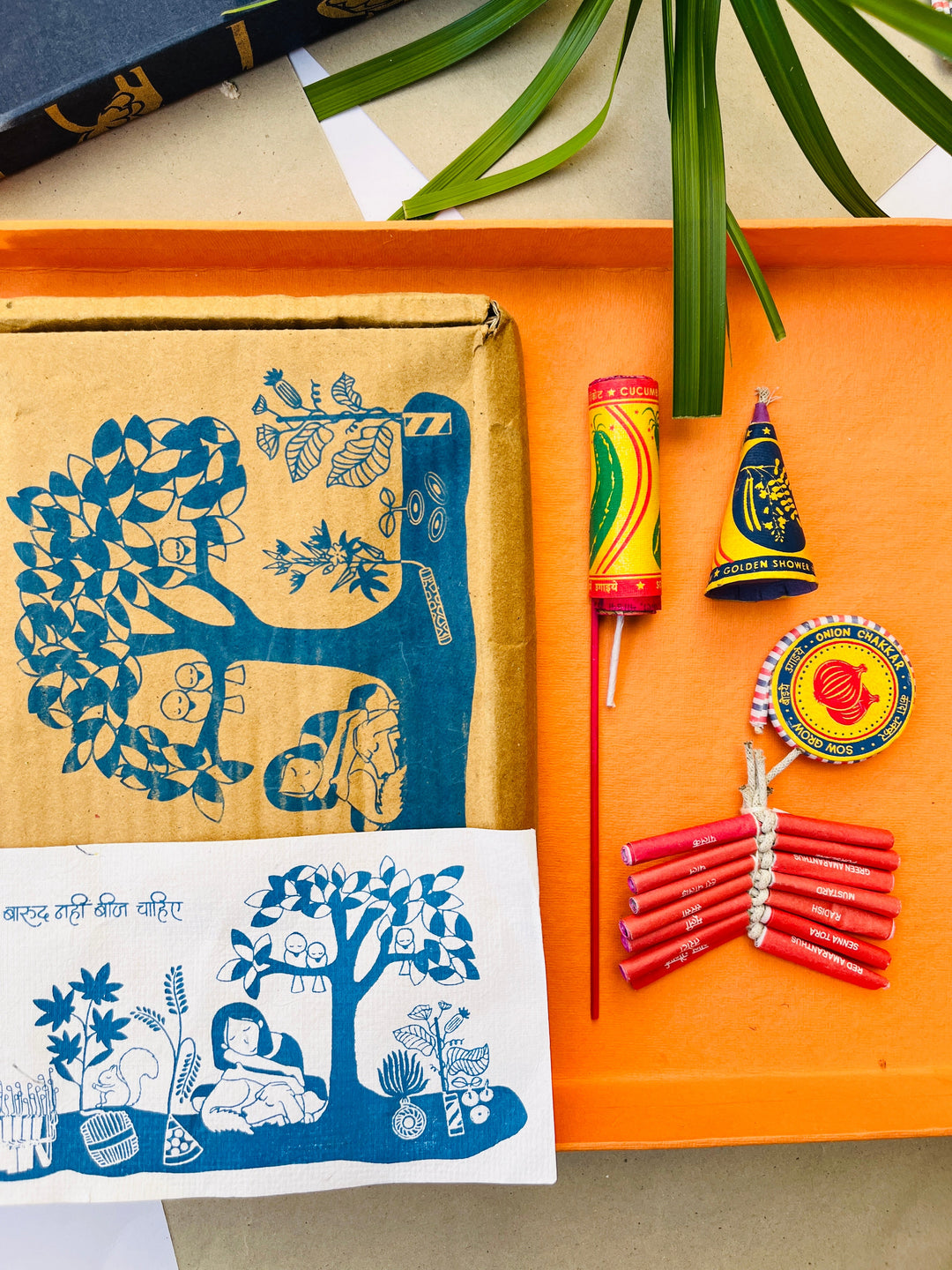 Shuddh Natural Plantable crackers | seed crackers | beej patakha | set of 4 I plantable seed box