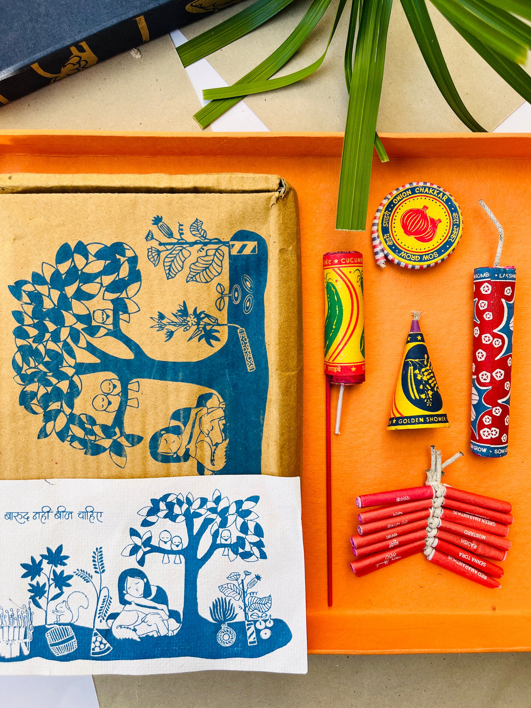 Shuddh Natural Plantable crackers | seed crackers | beej patakha | set of 5 I plantable seed box