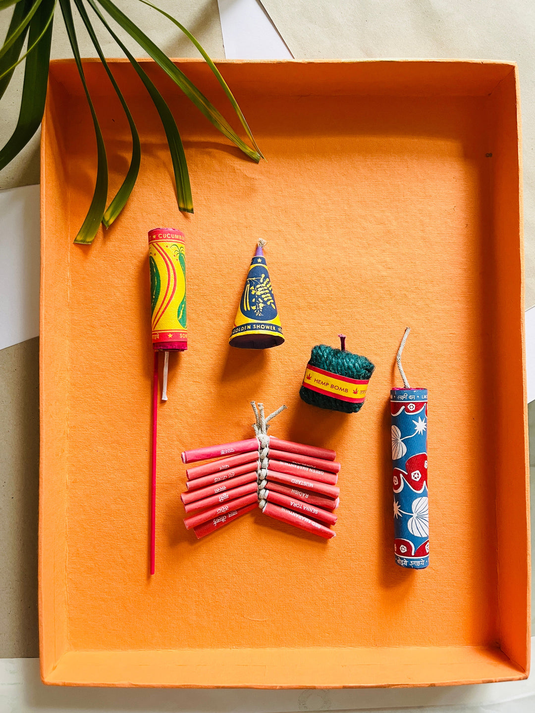 Shuddh Natural Plantable Crackers | seed crackers | beej patakha | set of 6 I plantable seed box