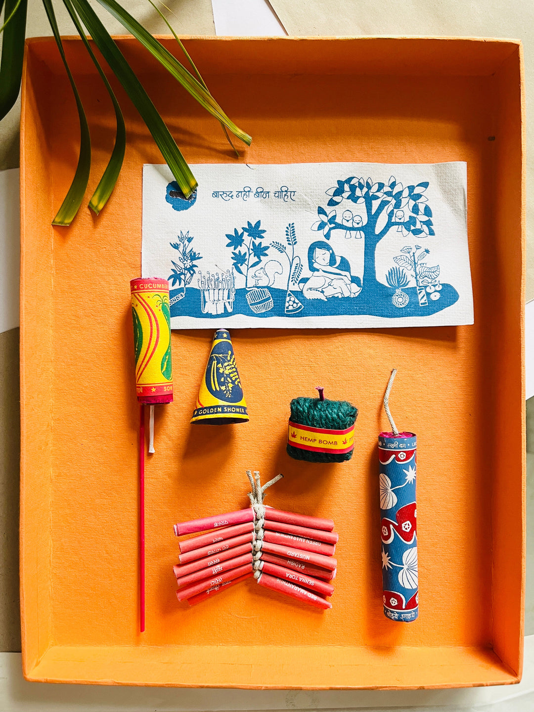 Shuddh Natural Plantable Crackers | seed crackers | beej patakha | set of 6 I plantable seed box