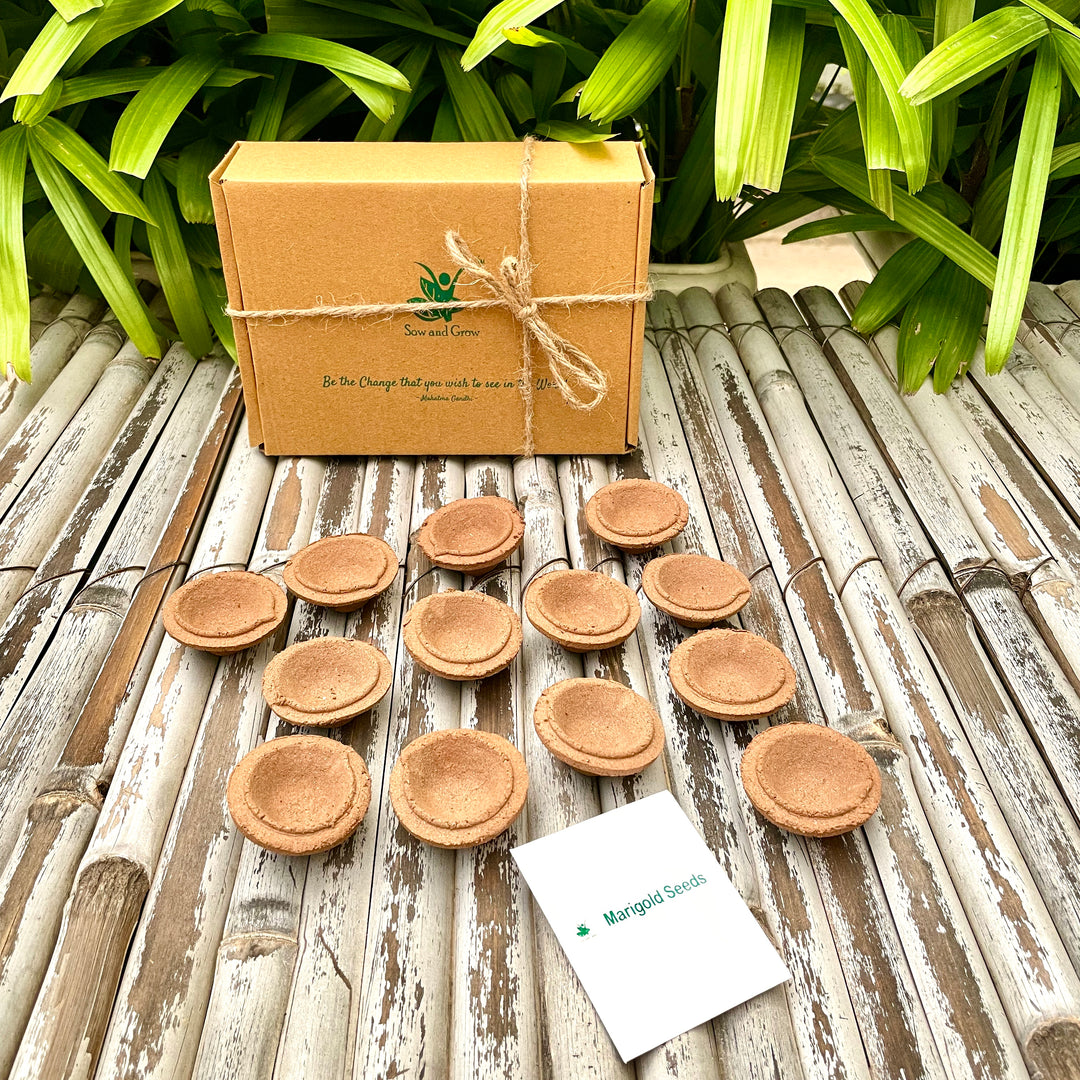 Sow and Grow Organic Cow Dung Diyas: Set of 40 with a pack of Marigold Seeds | First Use, Then Grow | Diwali Special |2 Sets of 20 Diyas Each