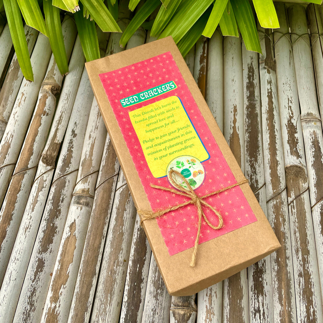 Sow and Grow Plantable Seed Crackers: Set of 5 with 5 varieties of seeds
